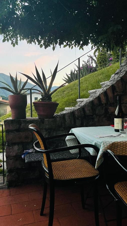 Lake View, Swimming Pool, Tennis Court And Private Parking Mezzegra エクステリア 写真